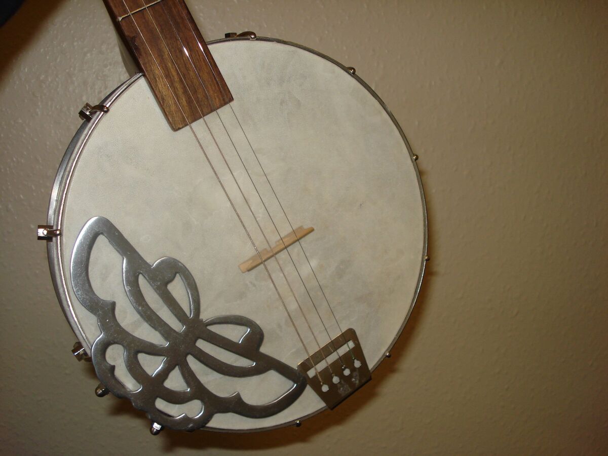 Close-up of a banjo head with a silver butterfly design