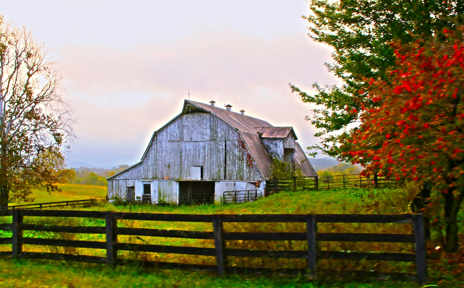 barn in rural kentucky by amy reed